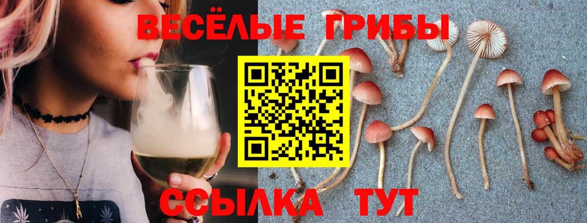 Ишим  Галлюциногенные грибы мухоморы  Вход с VPN 