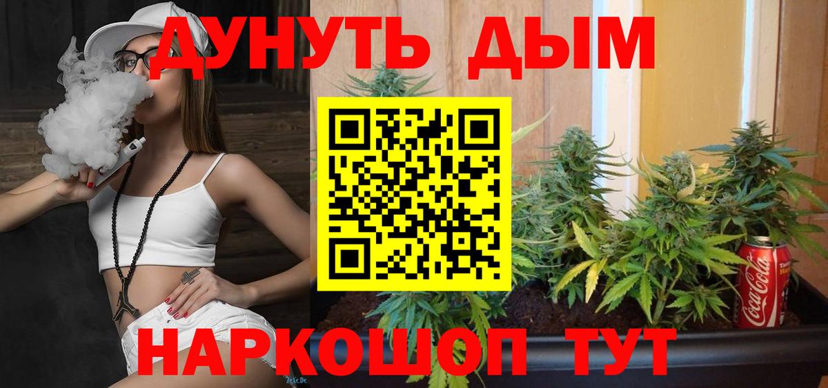 Бошки марихуана конопля Ишим